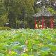 臺(tái)北植物園天氣
