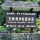 臺灣大板根森林天氣