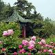 濟(jì)南植物園天氣