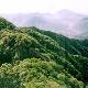 濟(jì)源王屋山天氣