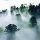 信陽(yáng)新縣連康山保護(hù)區(qū)天氣