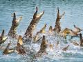 廣州鱷魚公園天氣