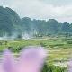 陽(yáng)江合水鎮(zhèn)平北村天氣
