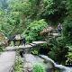 東安舜皇山國(guó)家森林公園天氣