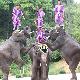 貴陽森林野生動(dòng)物園天氣