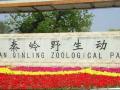 西安秦嶺野生動(dòng)物園天氣