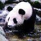 漢中佛坪大熊貓保護區天氣